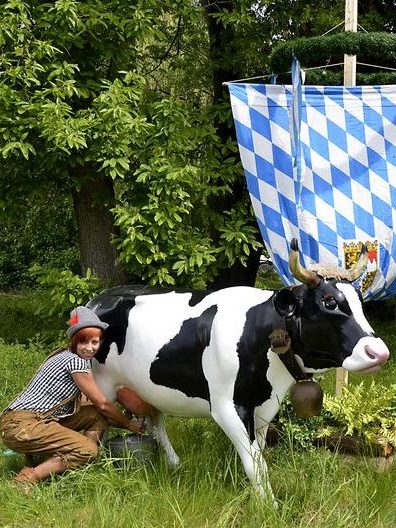 Melkkuh, Wettmelken mieten